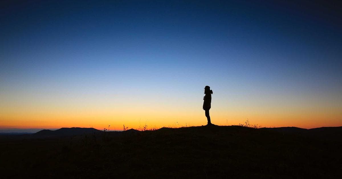 Interior Door Types: A Complete Guide to Materials, Styles, and Costs